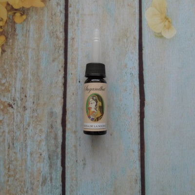 Esencia Reina de la Noche (17 ml)