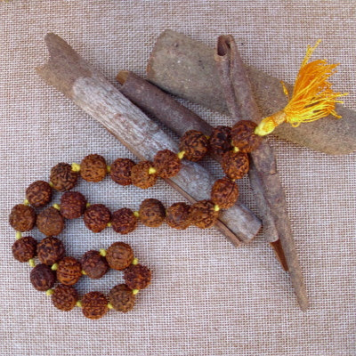 Japamala de Rudraksha Corta