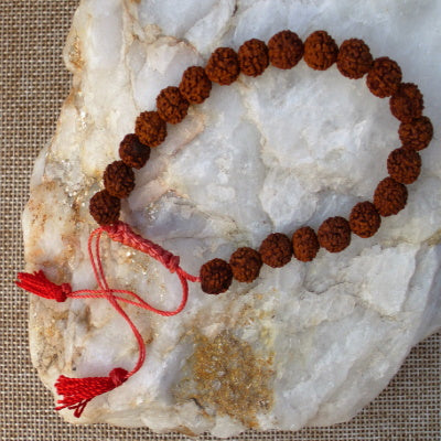 Pulsera Rudraksha