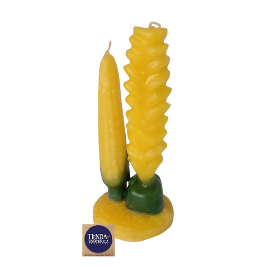 Ritual de la Abundancia