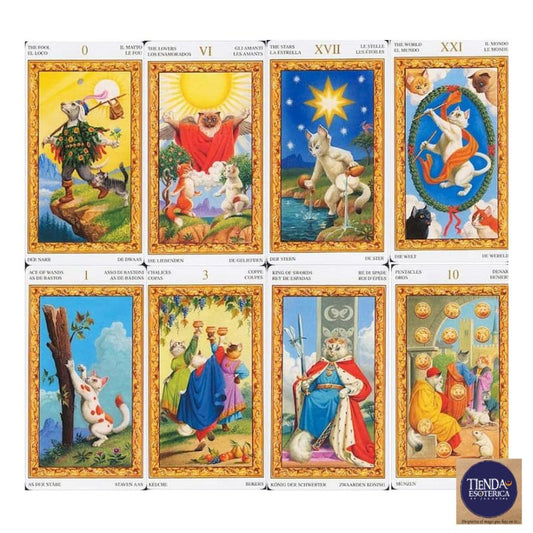 Tarot de los Gatos Blancos