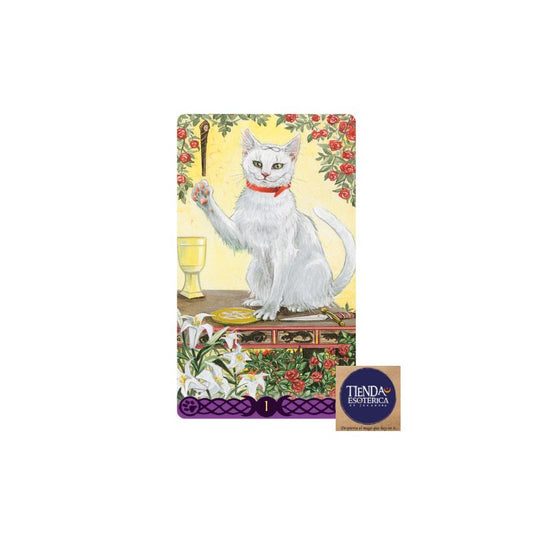 Tarot de los Gatos Paganos Mini