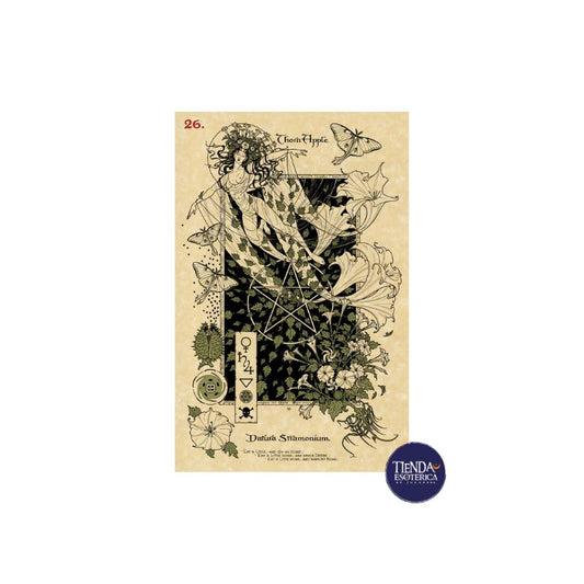 Oraculo The  Magickal Botanical Original