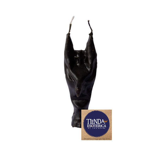 Vela Anubis